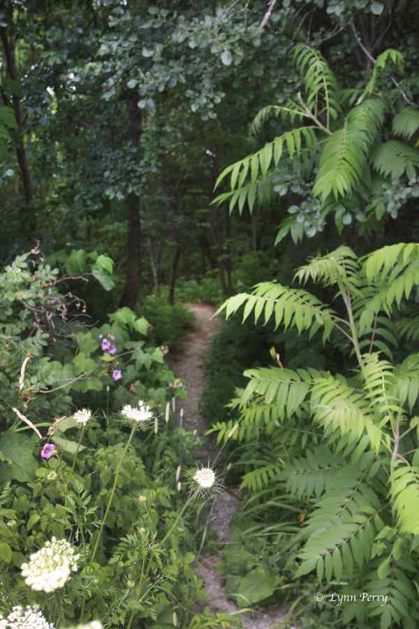 Marti Stevens Learning Center Trail 1 HR